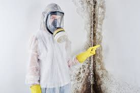 Best Mold Odor Removal Services  in Ozona, TX